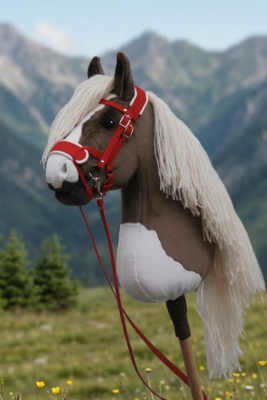 sawyer1