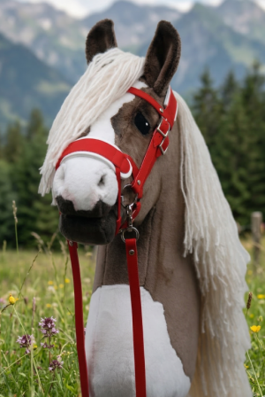 sawyer3